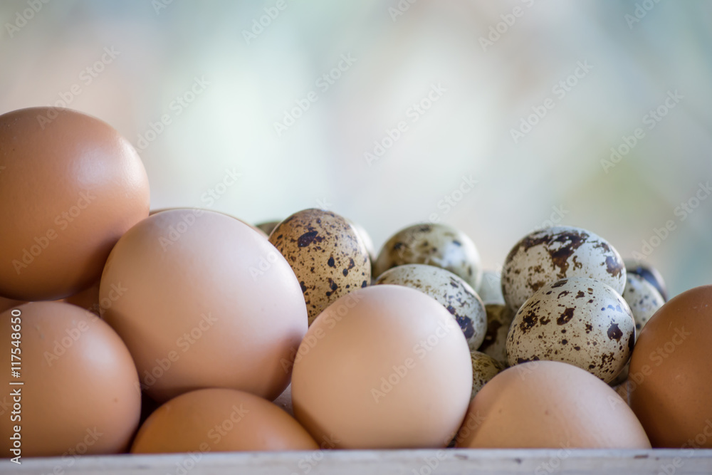 Huevos en una cesta de gallina. Huevos en una cesta de gallina.