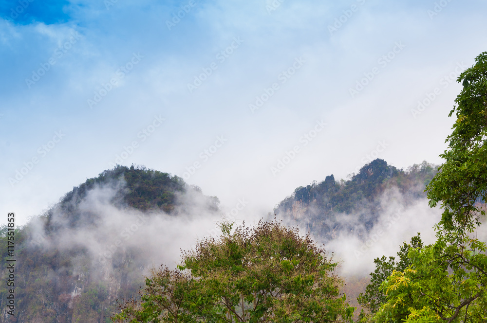 Mountain green forest in the mist  Northern Thailand, Amazing view of  forests