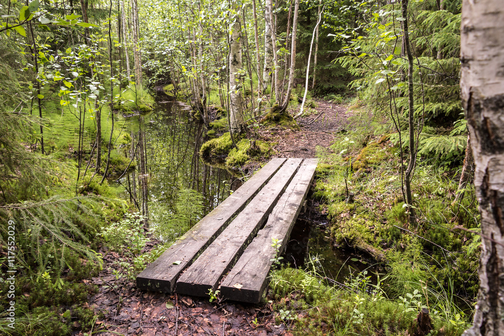 Obraz premium Nature trail with small board bridge leading over a ditch