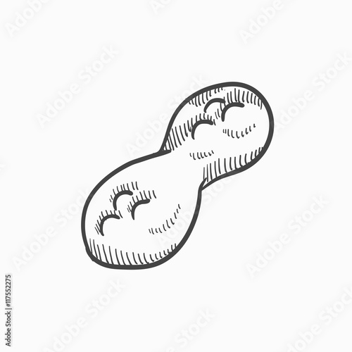 Peanut sketch icon.