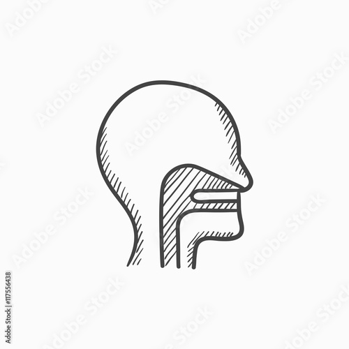 Human head with ear, nose, throat sketch icon.