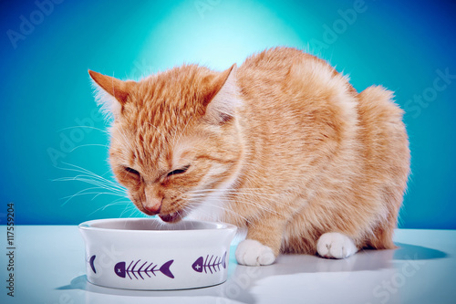 Fototapeta Naklejka Na Ścianę i Meble -  This tastes horrible!