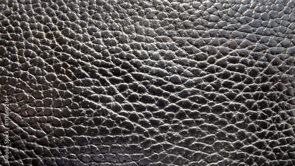 Texture of natural tanned and processed pig skin leather for manufacture of  products. Background skin a dimpled black. Raw materials for industry and  leather goods. Stock Photo | Adobe Stock