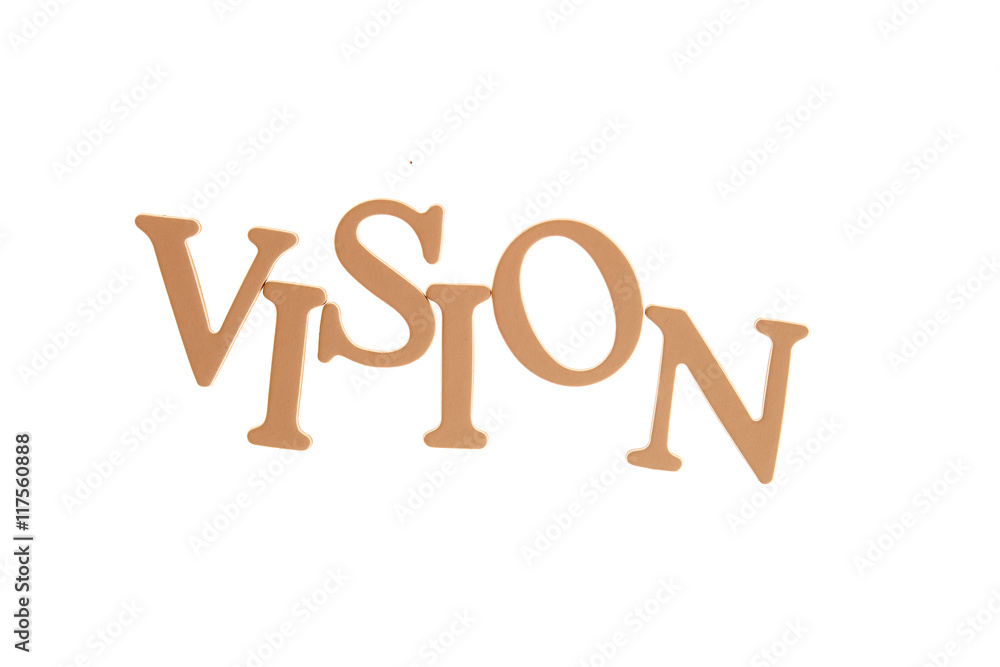 Vision Vision