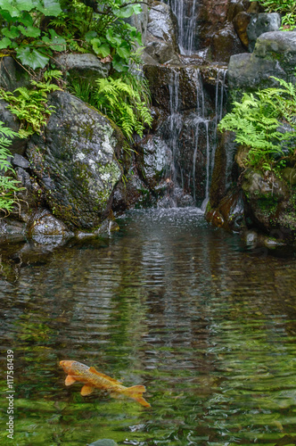 a still pond in a Japanese garden