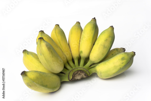 Cultivated banana or thai banana on white background.