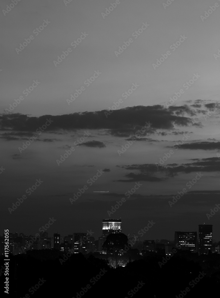 Naklejka premium Sao Paulo skyline