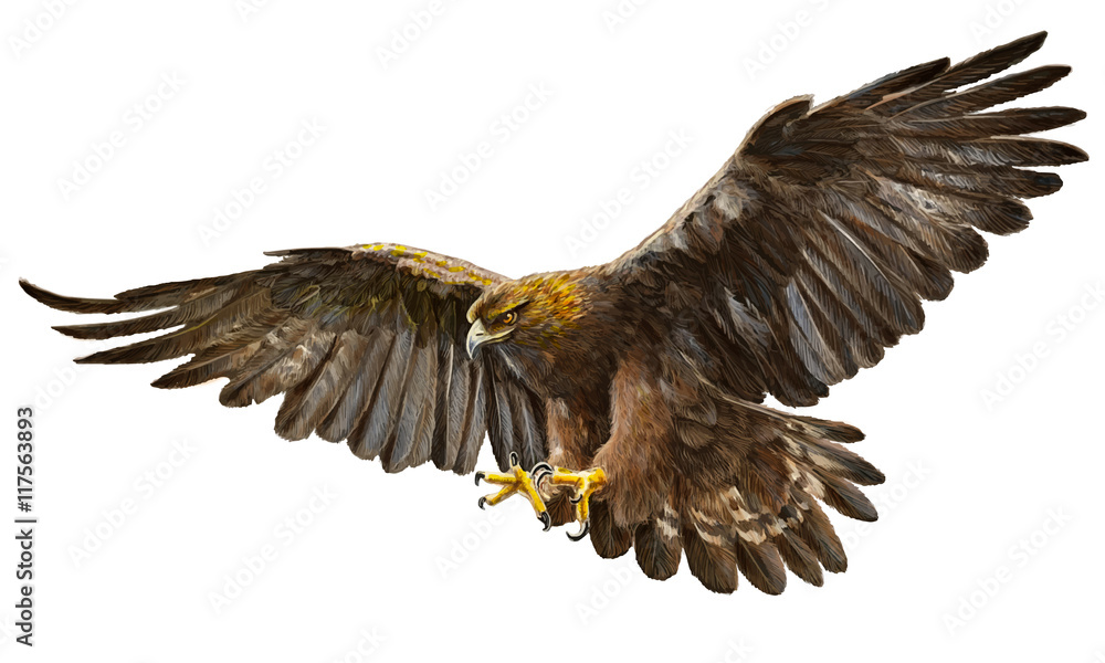 Obraz premium Golden eagle landing hand draw and paint vector illustration.