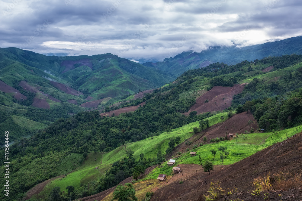 Fototapeta premium Beautiful top view of mountain forest landscape with misty morni