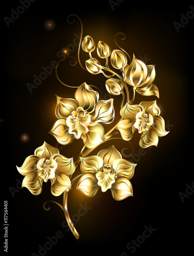 Fototapeta Naklejka Na Ścianę i Meble -  Shining golden orchid