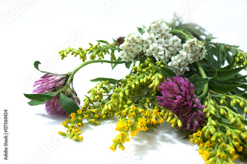 Medicinal plants. A bouquet of wild flowers. Pink clover, yarrow.