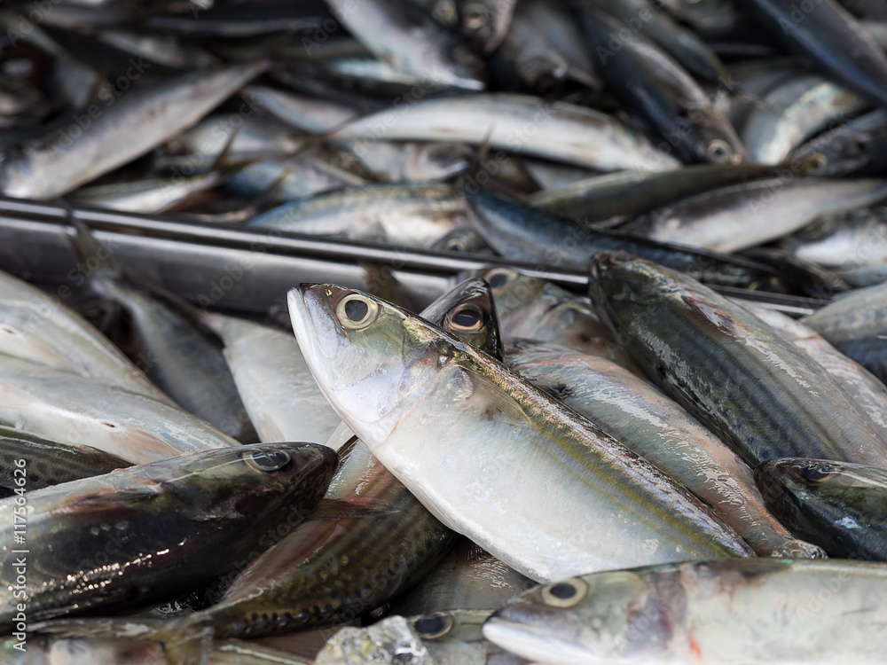 Obraz premium Closeup of fresh fish sea food in local market, Thailand