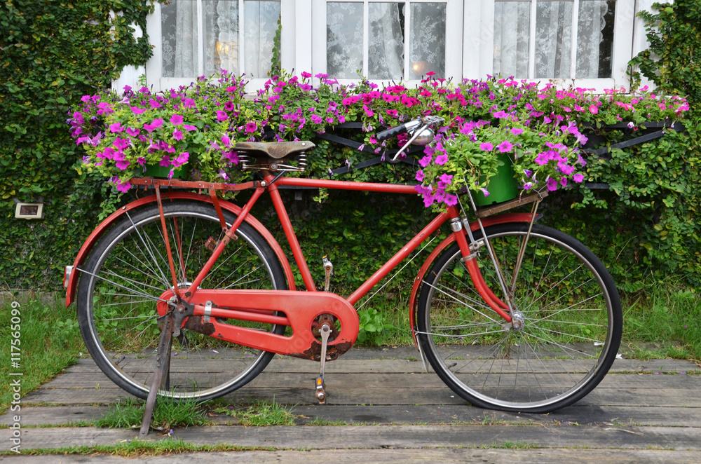 Bicycle is red with the small basket