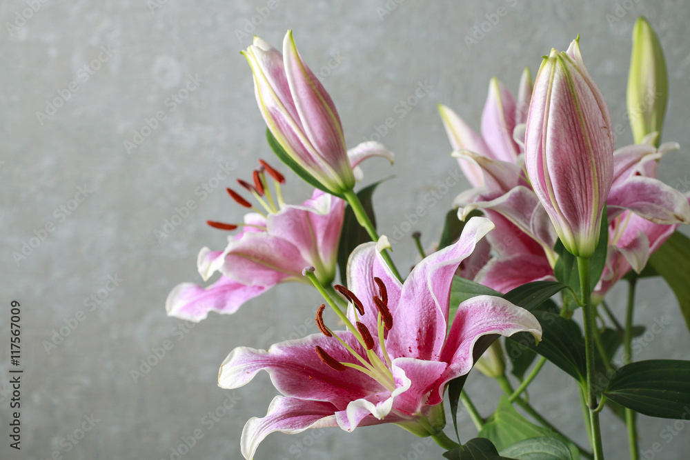 Naklejka premium Pink and red lily flowers
