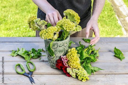 Woman making bouquet with celosia flowers. photo