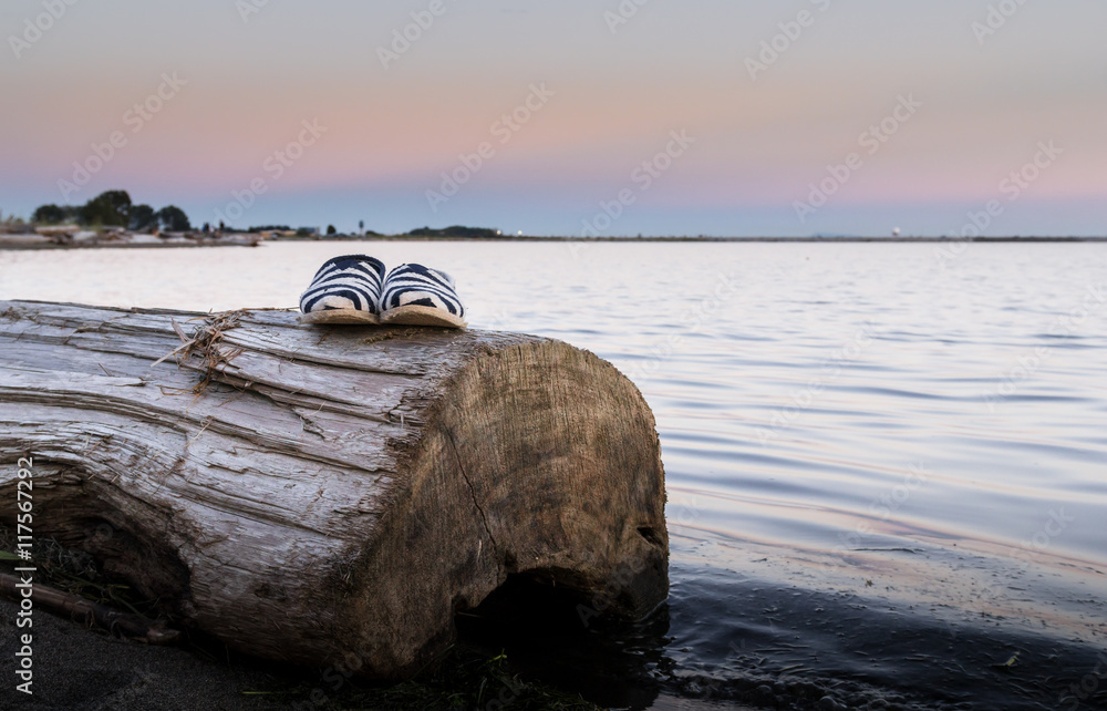 Fototapeta premium Shoes on beach