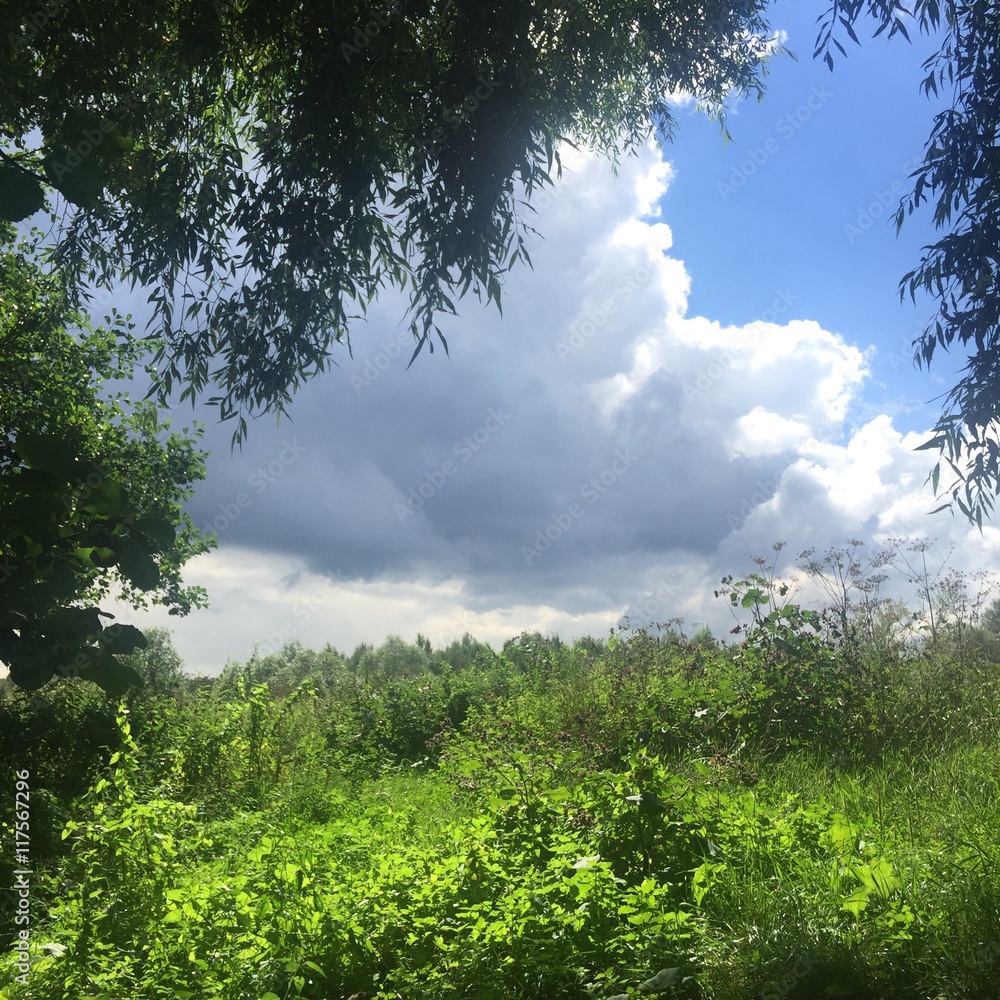 Obraz premium Landscape