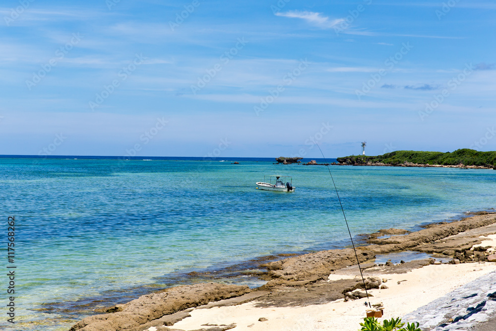The beach where tropical fish are collected The beach where tropical fish are collected