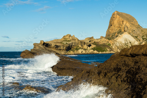 Castlepoint Reef Front