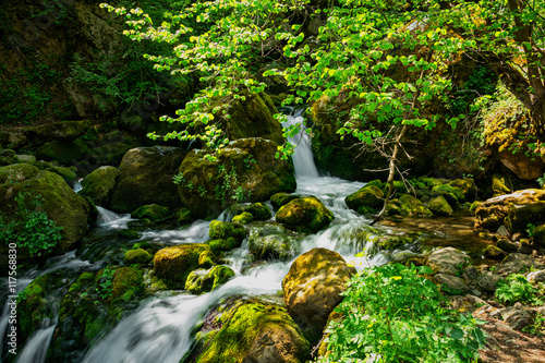 Bovska skaklya waterfall  near Bov  Bulgaria