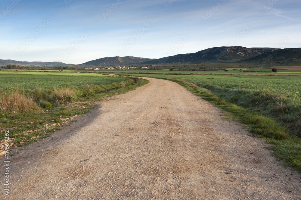 Dirt road in an agricultural landscape in La Mancha, Ciudad Real Province, Spain. In the background can be seen the Toledo Mountains