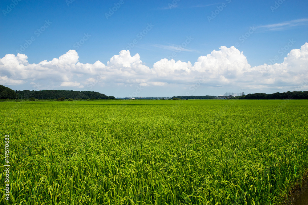 田園風景 田園風景