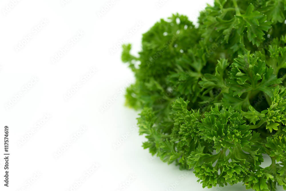 Fototapeta premium Fresh green parsley on white background
