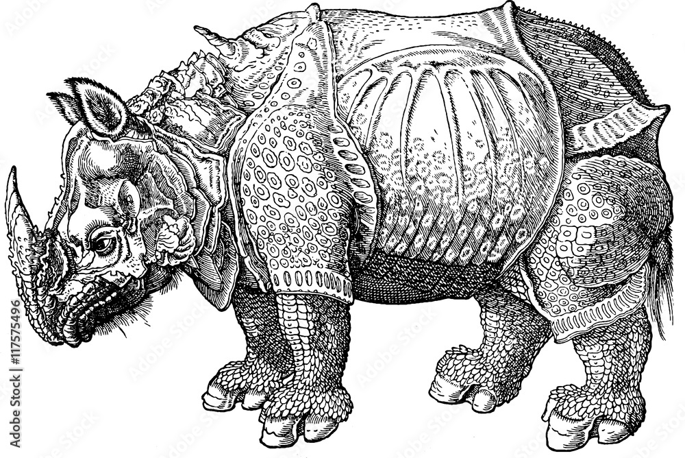 Obraz premium Vintage image early rhino