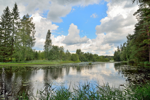Clouds and trees reflected in the water of the river Oredezh amo