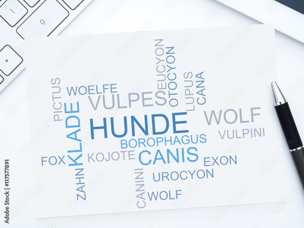 Hunde Hunde