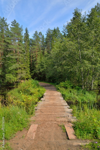 Wooden bridge over forest river on a summer day