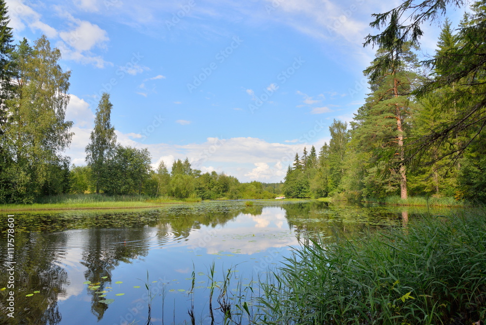 Landscape from forest river with a boat and reeds and water lili