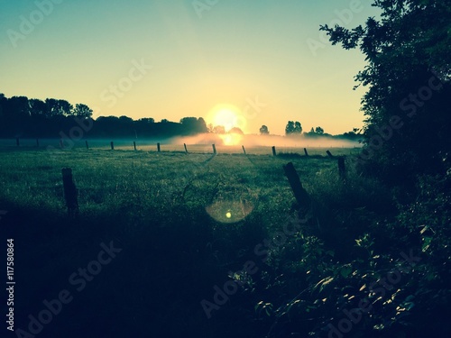 Sonnenaufgang über nebligem Feld photo