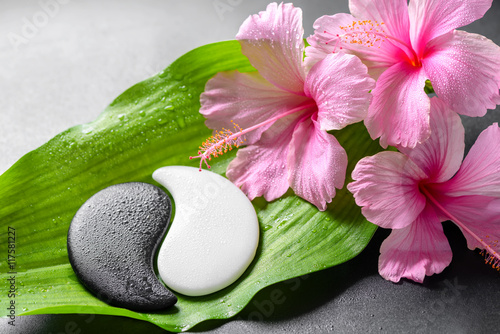 beautiful spa concept of pink hibiscus flowers and Yin-Yang of s photo