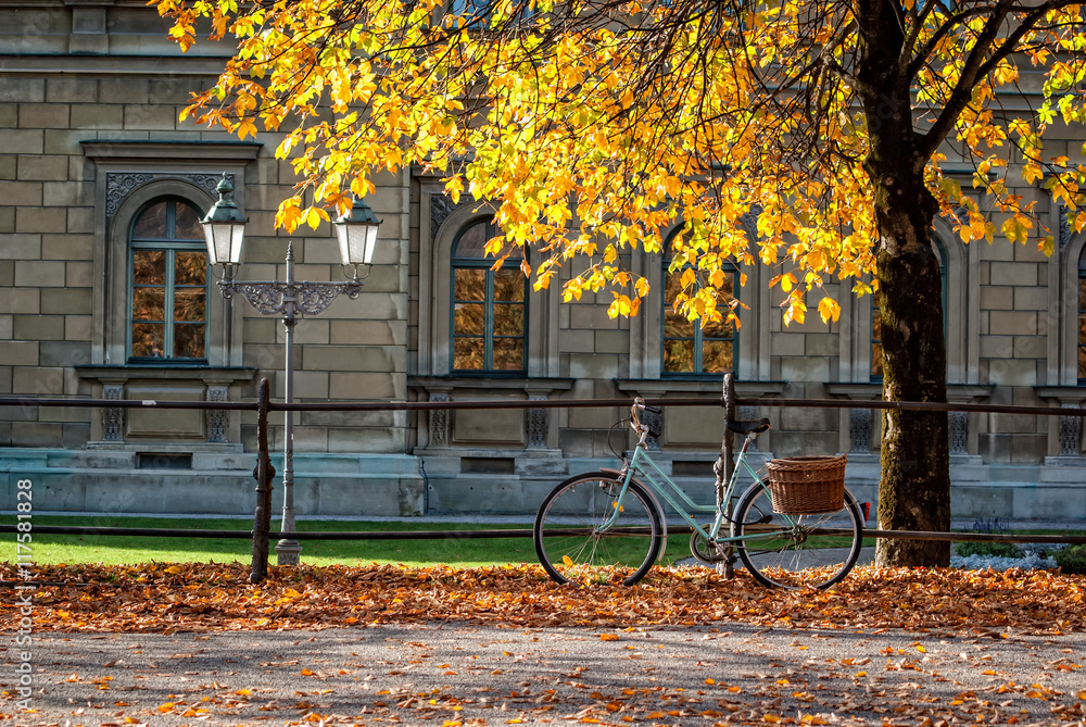 Niebieski rower w jesiennym parku miejskim - obrazy, fototapety, plakaty 