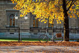 Niebieski rower w jesiennym parku miejskim