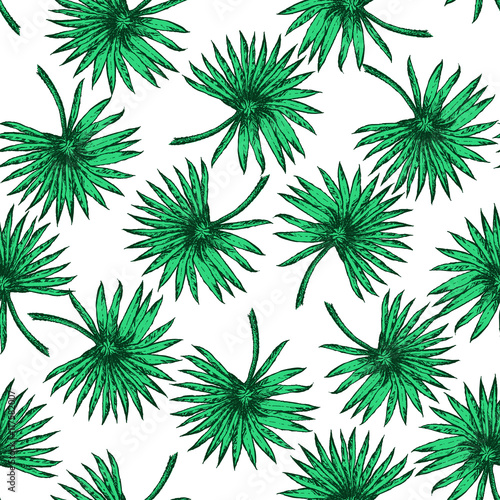  Palm Tree Sketch Pattern A