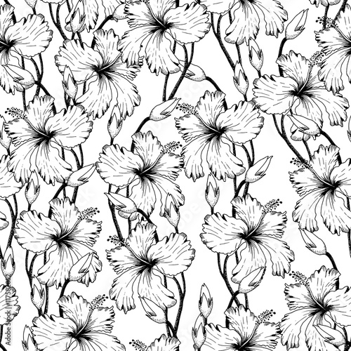Wallpaper Mural tropical Flowers in Sketch  Torontodigital.ca