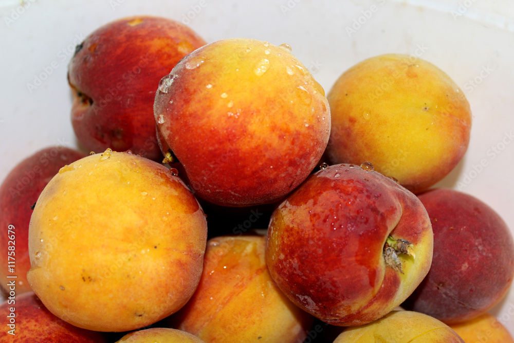 fredi StockFoto Adobe Stock