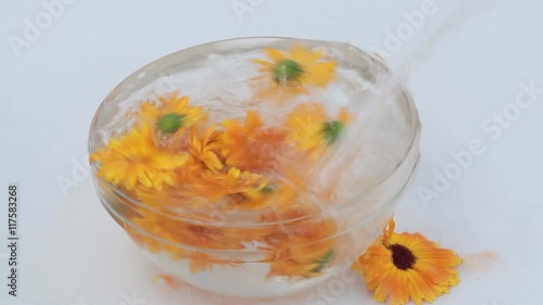 Water flow Struth in a bowl with flowers of calendula photo