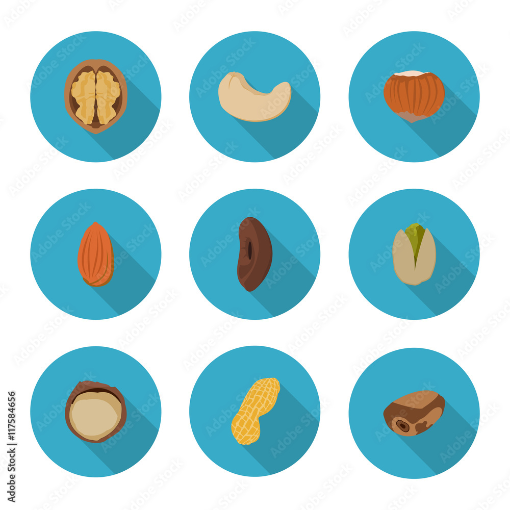 flat icons nuts