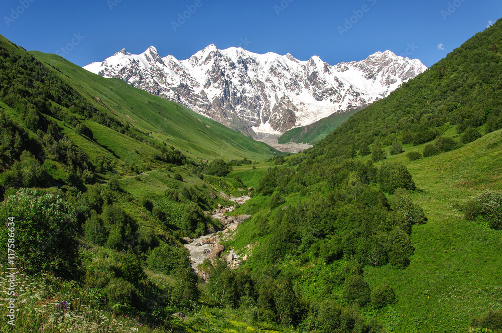 Grassy valley and snow-capped mountains in Georgia