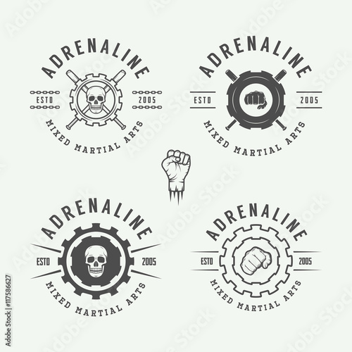 Set of vintage mixed martial arts or fighting club logos, emblem
