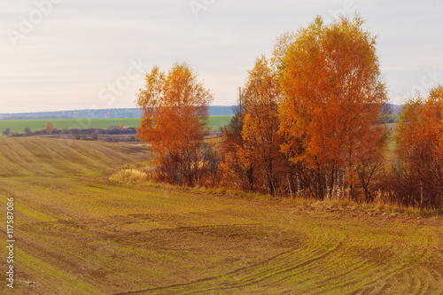 beautiful autumn landscape