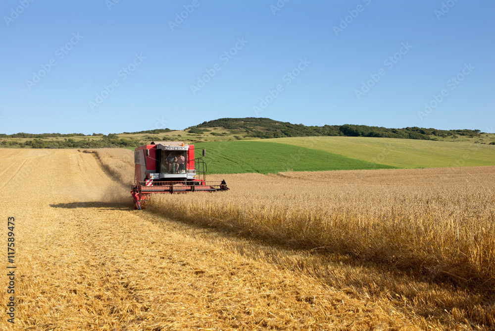 Obraz premium moisson en fine de journée