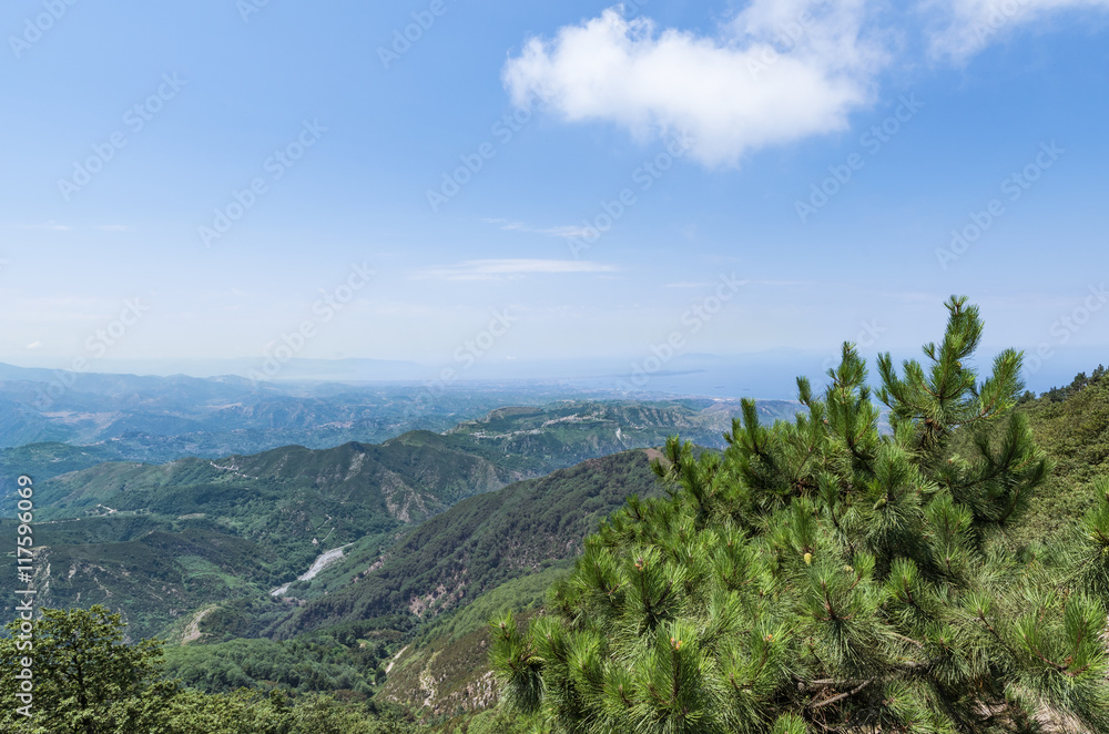 Fototapeta premium Berglandschaft mit Wälder