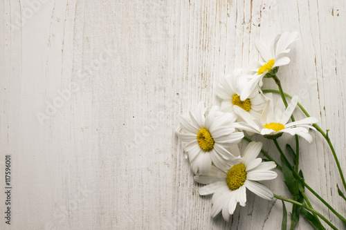Fototapeta Naklejka Na Ścianę i Meble -  Chamomile flowers on a wooden background. Studio photography.