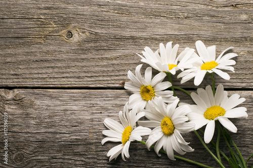 Chamomile flowers on a wooden background. Studio photography. © vasyl90