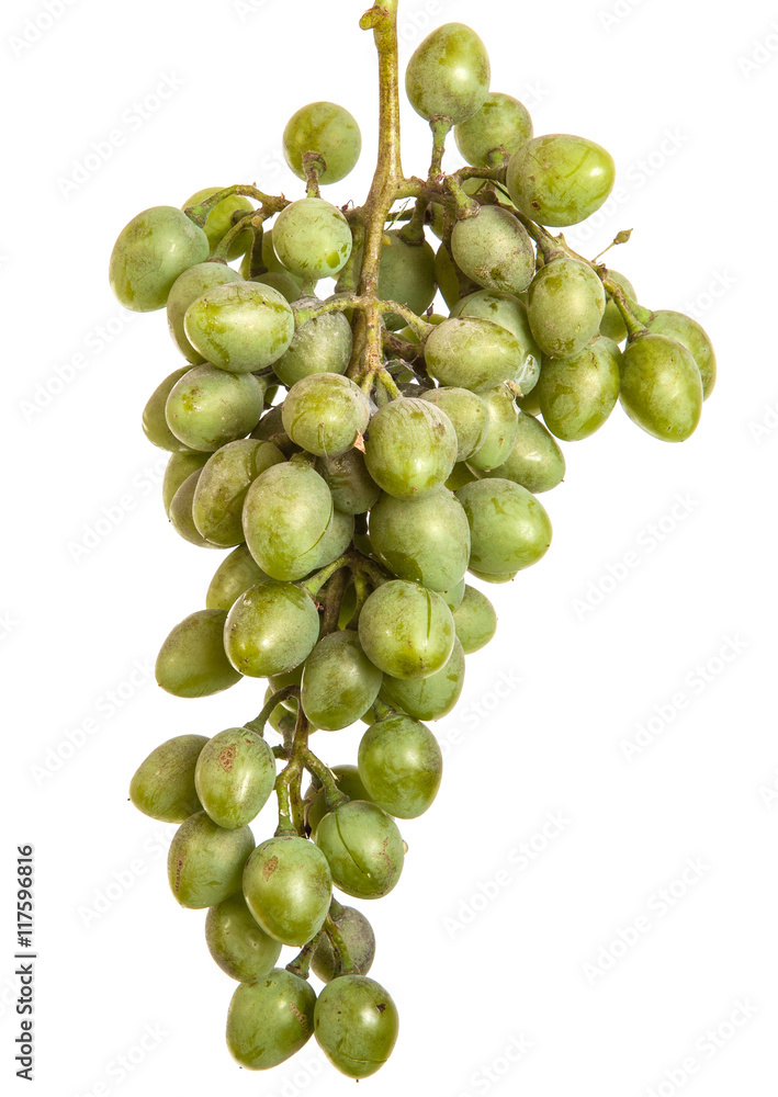 bunch of unripe green grapes. isolated on white background bunch of unripe green grapes. isolated on white background