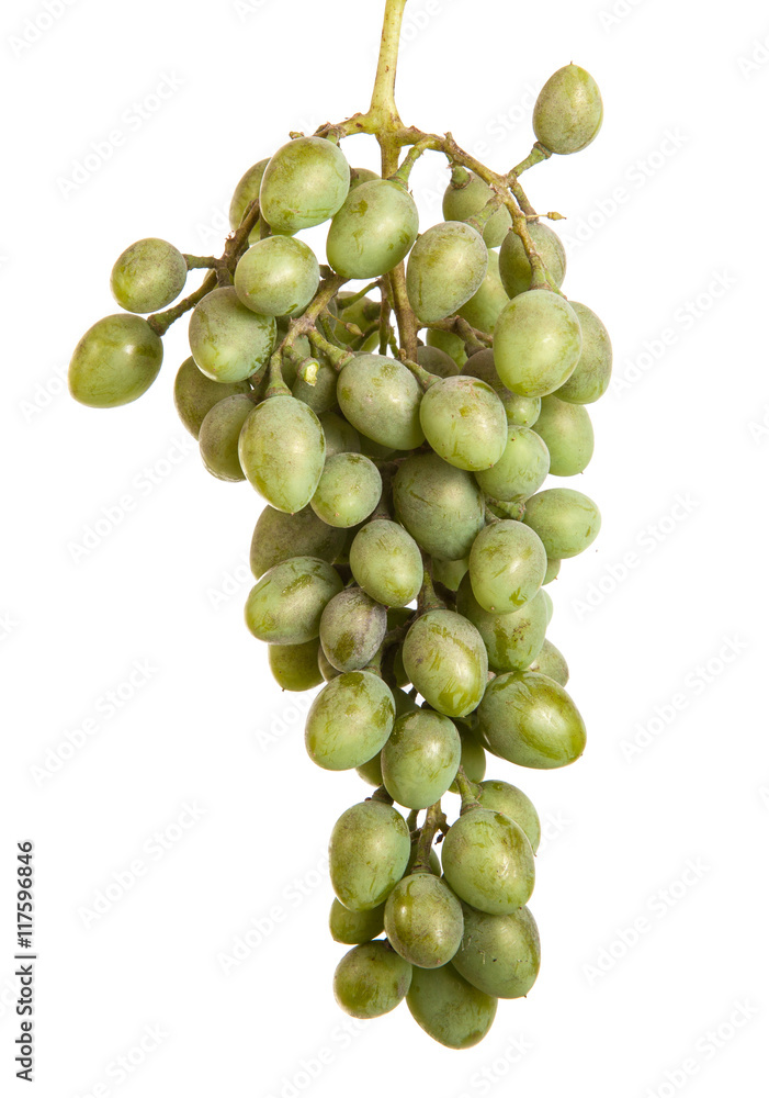 bunch of unripe green grapes. isolated on white background bunch of unripe green grapes. isolated on white background